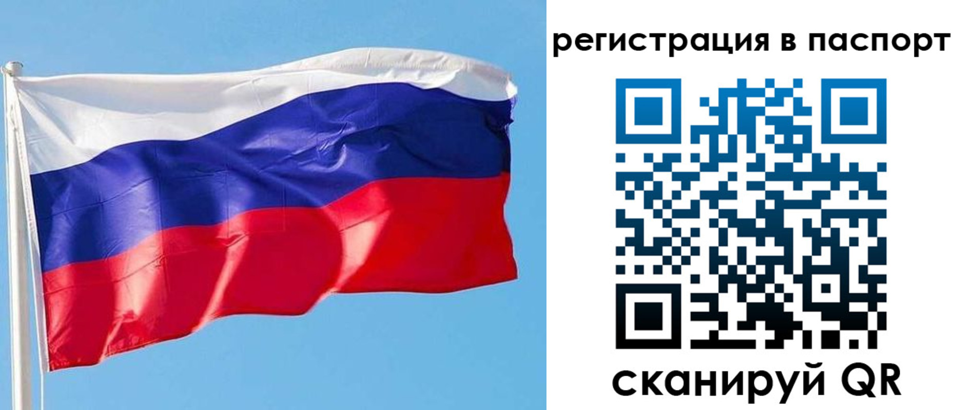 прописка законно в Россоши